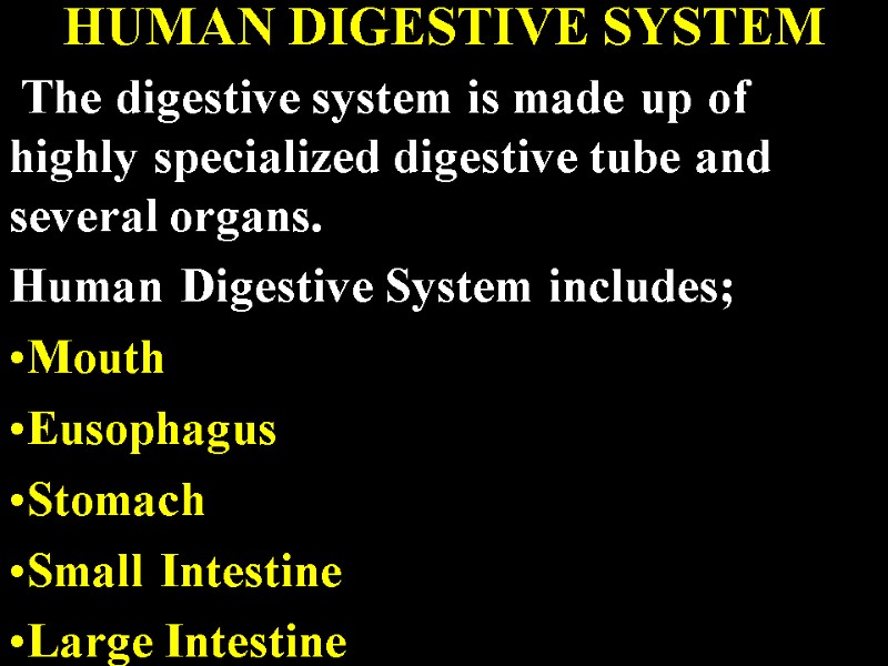 HUMAN DIGESTIVE SYSTEM  The digestive system is made up of highly specialized digestive